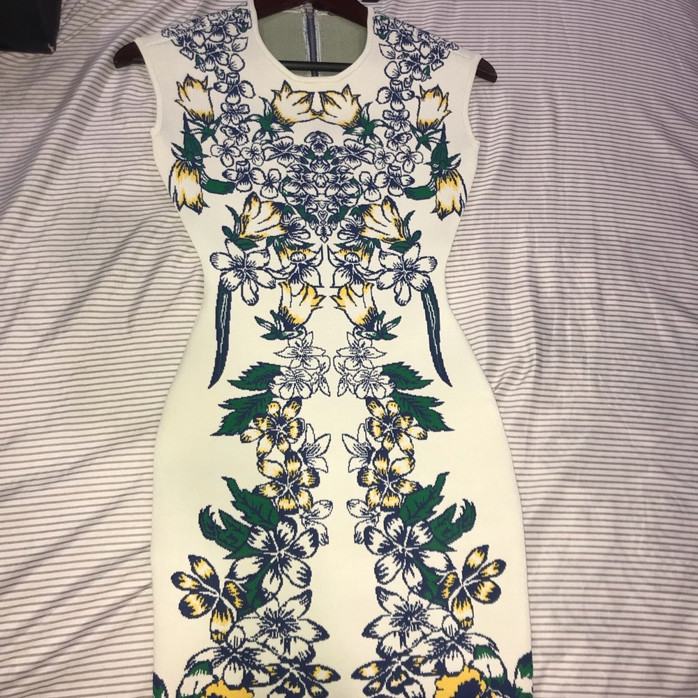BCBGMaxAzria ellena dress